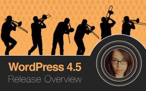 Release WordPress 4.5 Selective Refresh