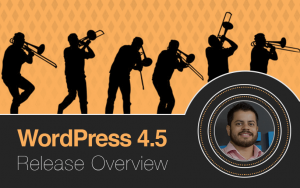 WordPress 4.5 Release Overview Leandro Erro de Comentários