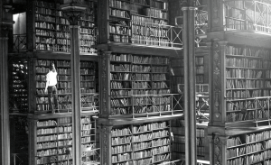destaque-categorias-tags-wordpress