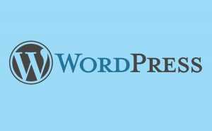 destaque depois instalar wordpress