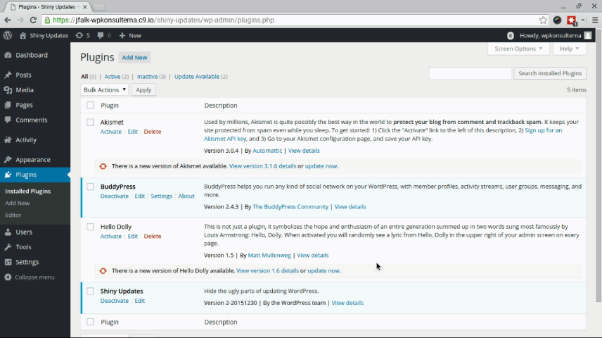 WordPress 4.6 Shiny Updates, depois.